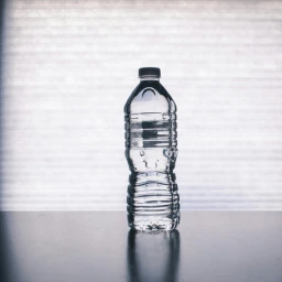 Water Bottle